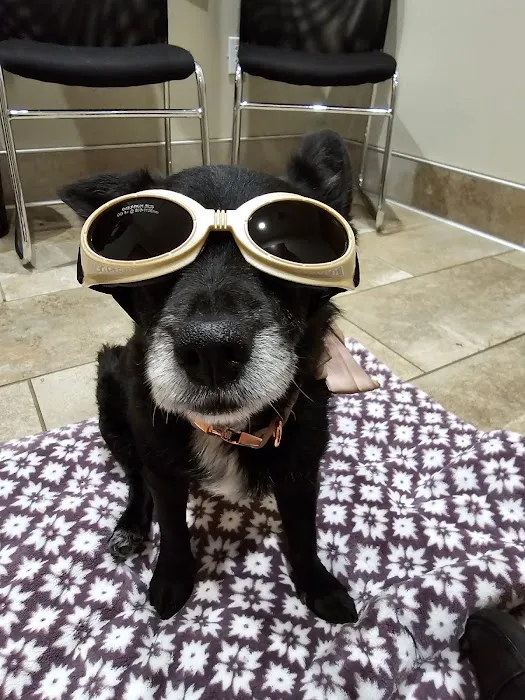Claus Paws Animal Hospital 12