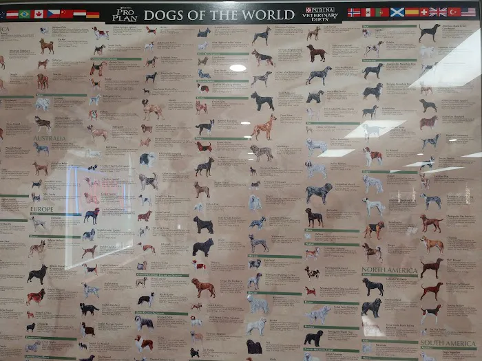 Claus Paws Animal Hospital 12