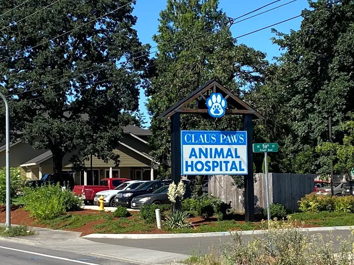 Claus Paws Animal Hospital 12