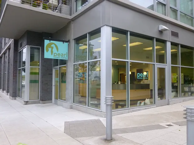 Pearl Animal Hospital 12