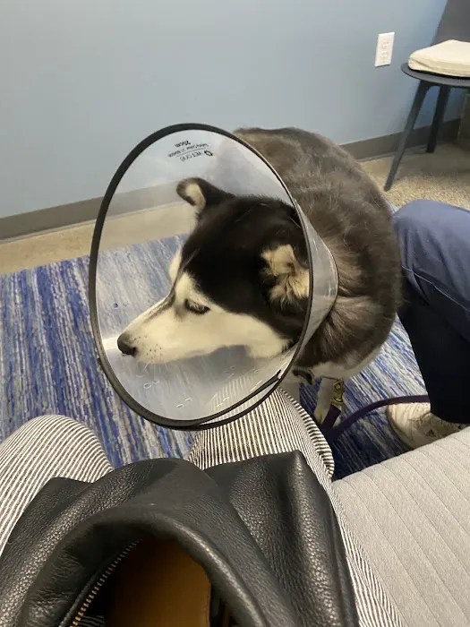 Riverbend Veterinary Care 12