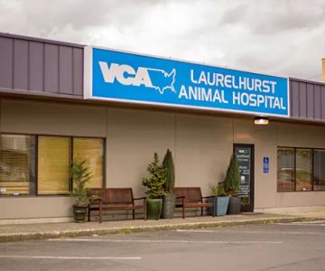 VCA Laurelhurst Animal Hospital