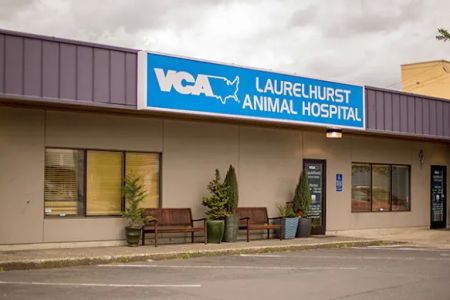 VCA Laurelhurst Animal Hospital