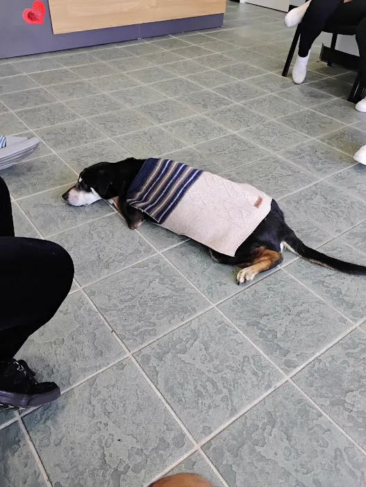 Brookhurst Animal Medical Center 9