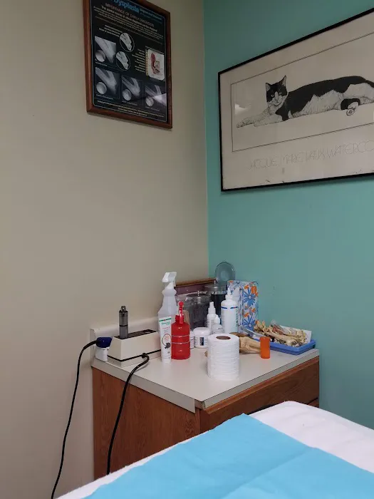 Brookhurst Animal Medical Center 1