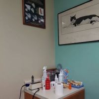 Brookhurst Animal Medical Center ico