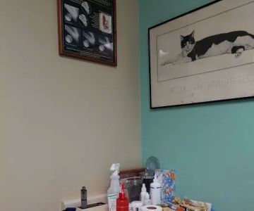 Brookhurst Animal Medical Center