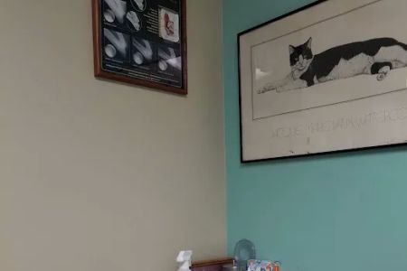 Brookhurst Animal Medical Center