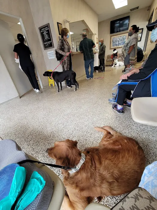 Garden Grove Dog and Cat Hospital 7