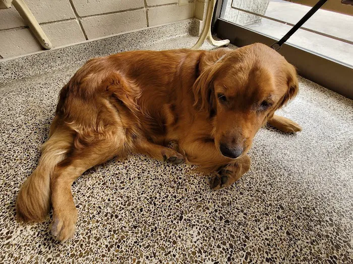 Garden Grove Dog and Cat Hospital 9