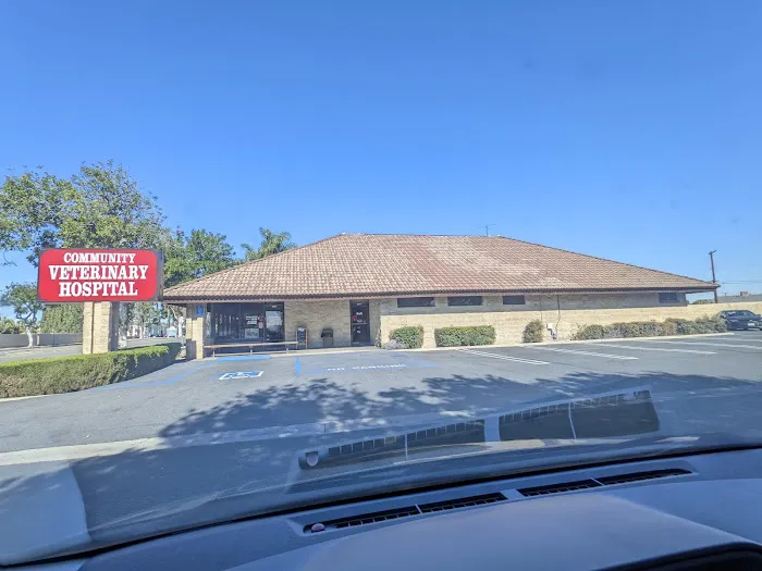 Community Veterinary Hospital 2