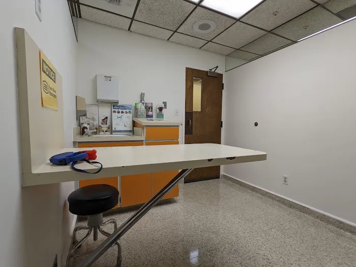 Community Veterinary Hospital 1