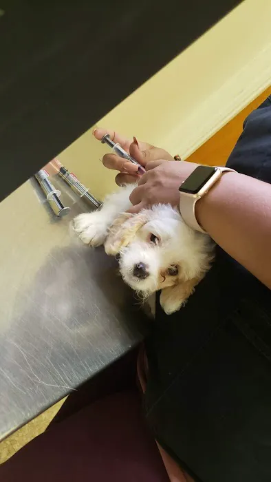 Animal Discount Clinic 12