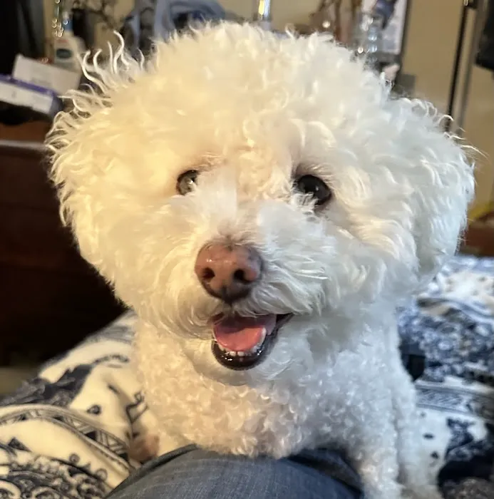 Beach Boulevard Pet Hospital 7