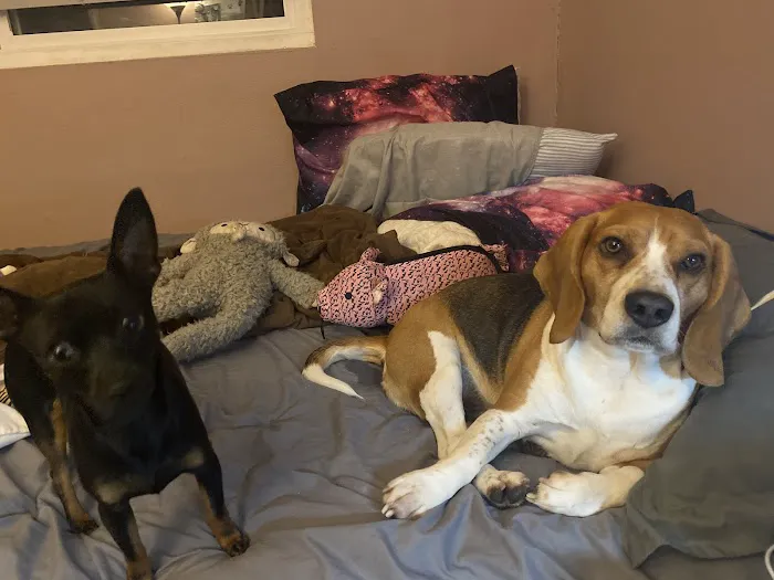 Beach Boulevard Pet Hospital 6