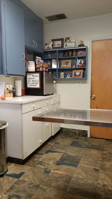 Beach Boulevard Pet Hospital 4