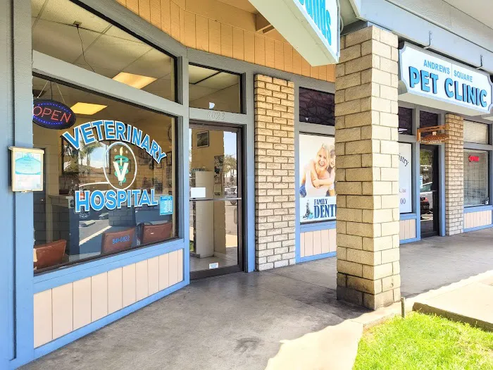 Andrews Square Pet Clinic 2