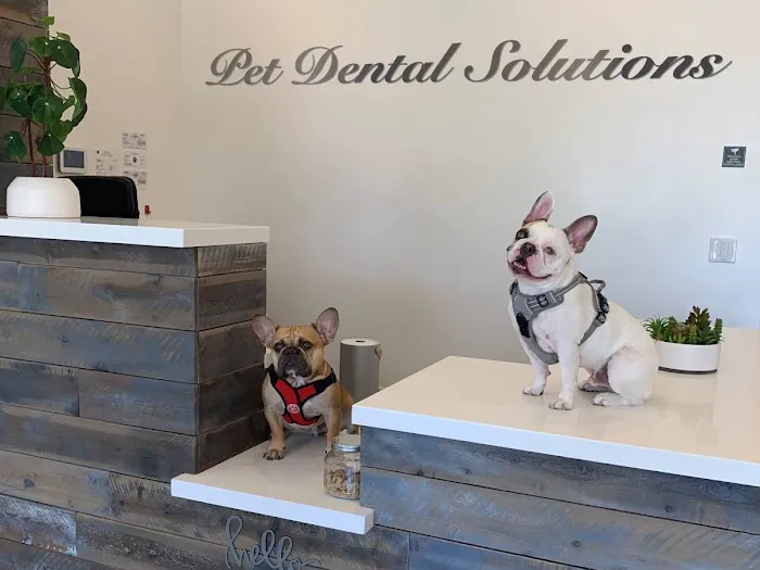 Pet Dental Solutions 3