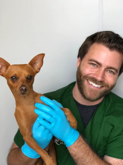 Qualified Pet Dental 12