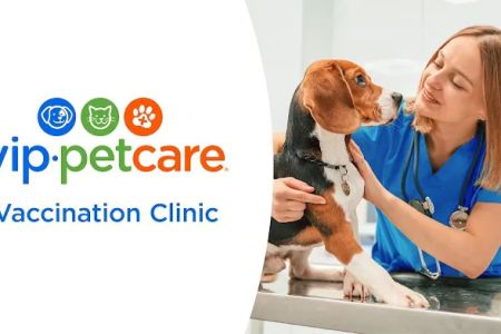 VIP Petcare Vaccination Clinic