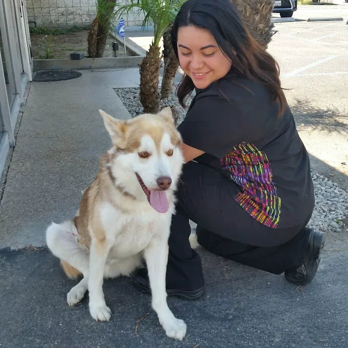 Katella Animal Clinic 12