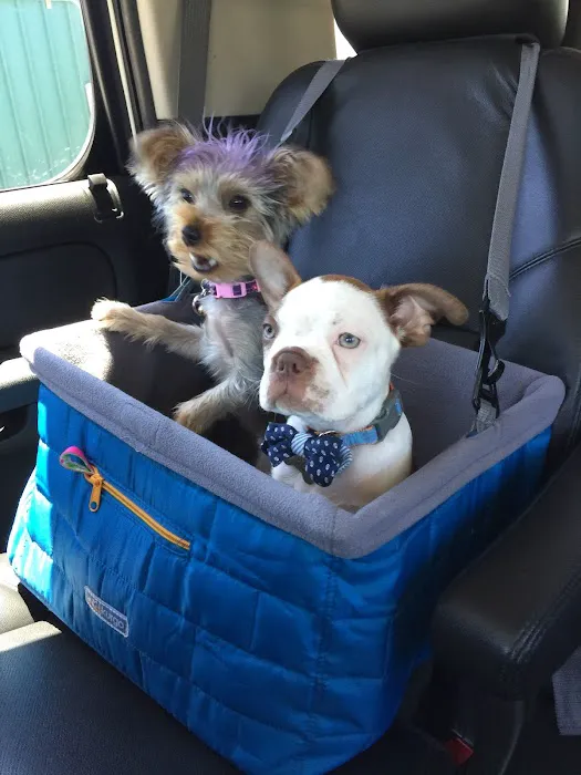 Anaheim Animal Care & Pet Hospital 4