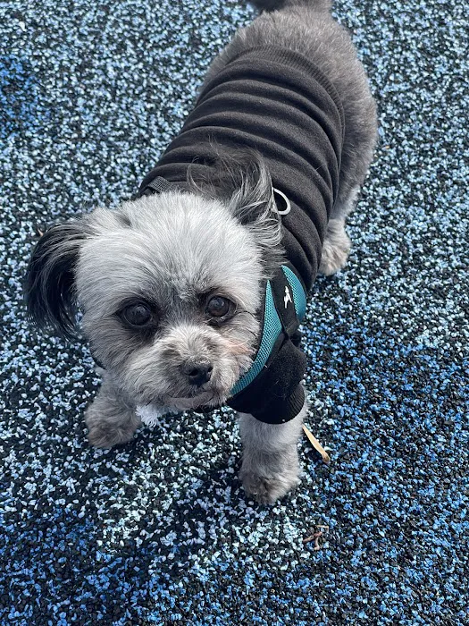 Anaheim Animal Care & Pet Hospital 8
