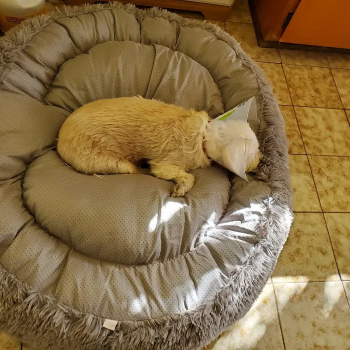 Anaheim Animal Care & Pet Hospital 10