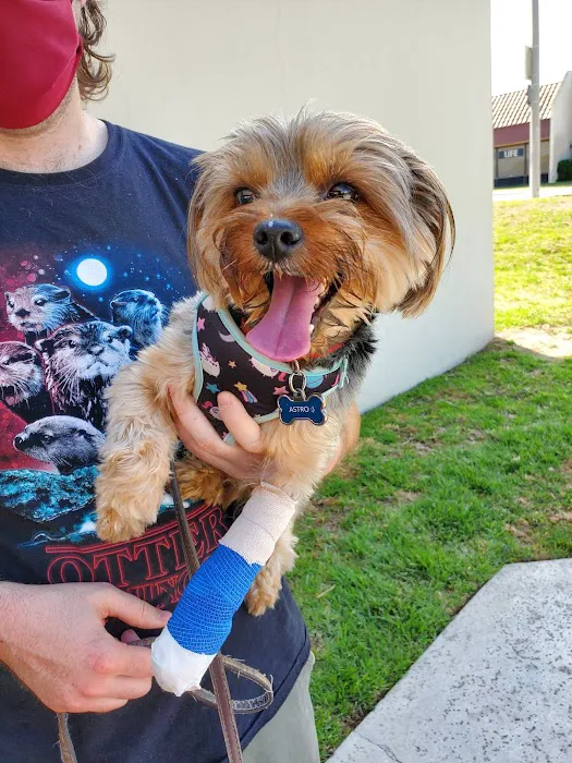 Anaheim Animal Care & Pet Hospital 7