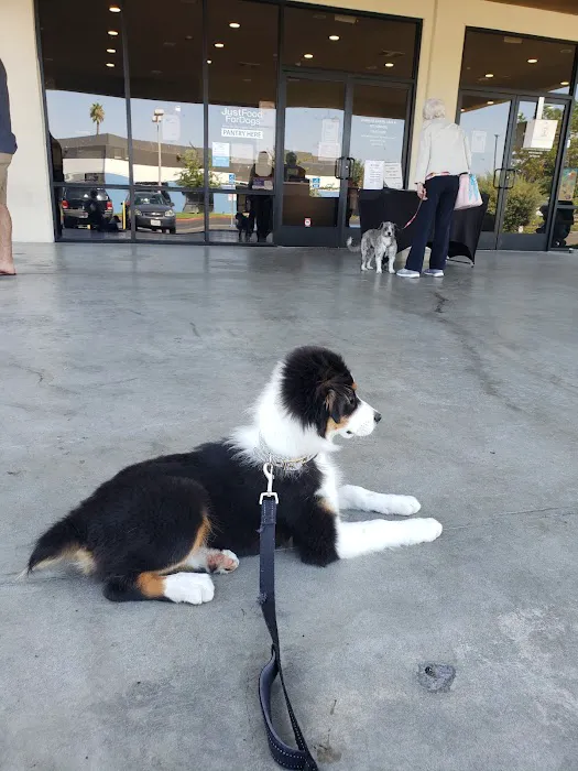Anaheim Animal Care & Pet Hospital 5