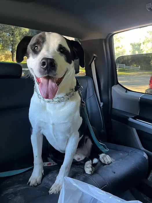 Anaheim Animal Care & Pet Hospital 6