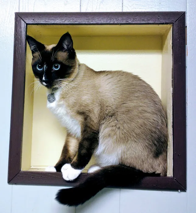 Warner Avenue Animal Hospital 12