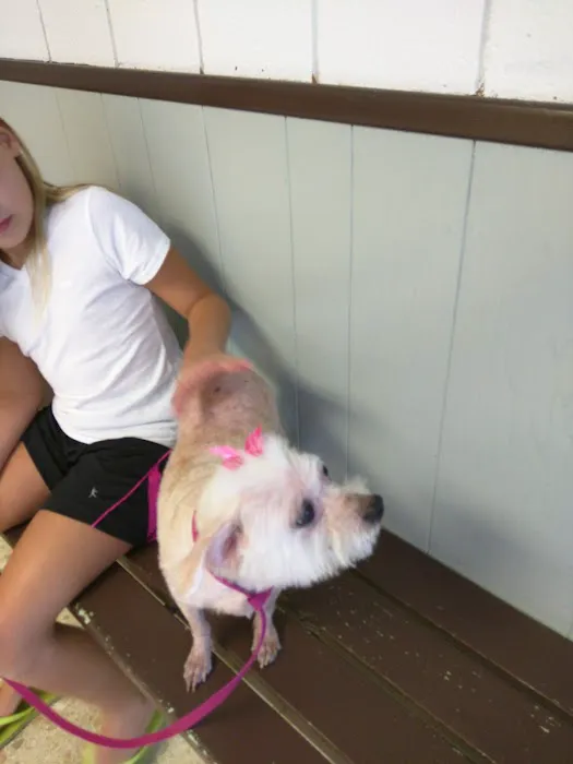 Warner Avenue Animal Hospital 12
