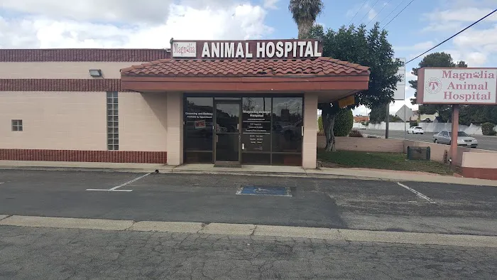Magnolia Animal Hospital 12