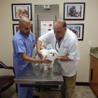 Magnolia Animal Hospital ico