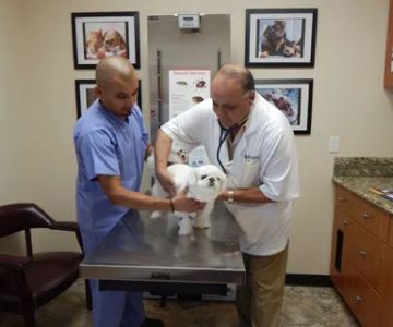 Magnolia Animal Hospital
