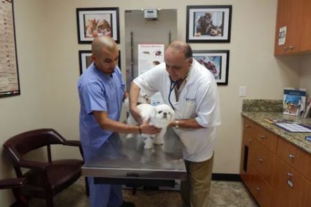 Magnolia Animal Hospital