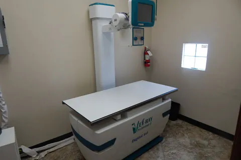 Magnolia Animal Hospital 12