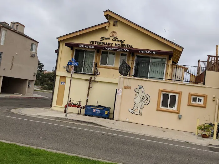 Sun Surf Veterinary Hospital 12