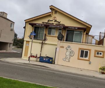 Sun Surf Veterinary Hospital