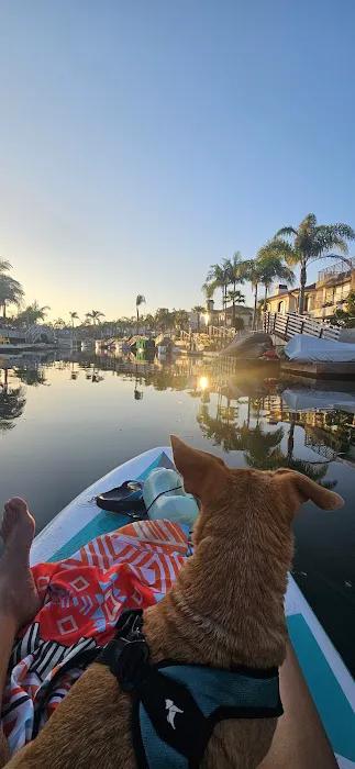 Sun Surf Veterinary Hospital 12