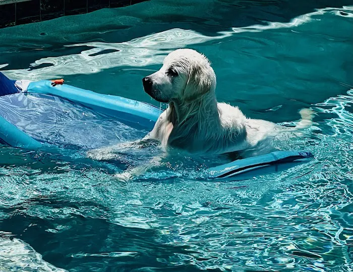 Sun Surf Veterinary Hospital 12