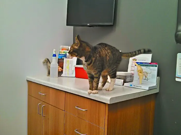 Seal Beach Animal Hospital 3