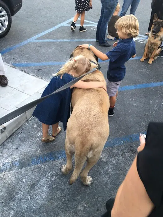 Seal Beach Animal Hospital 6