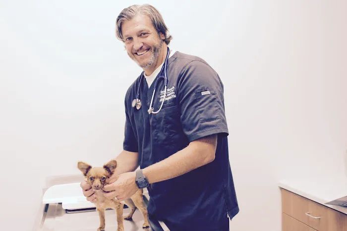 Seal Beach Animal Hospital 10