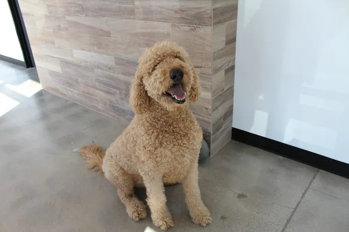 Seal Beach Animal Hospital 5