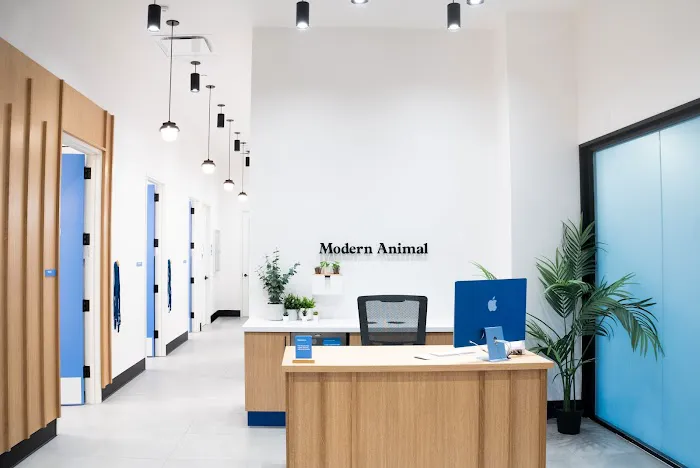 Modern Animal 5