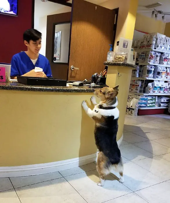 Bloomfield Animal Hospital 12