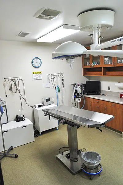 Bloomfield Animal Hospital 12
