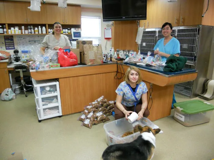Bloomfield Animal Hospital 12